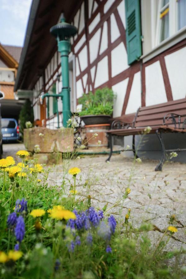 Apartment Kirschblüte Appenweier Exterior foto